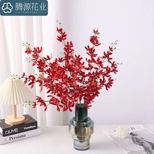 �����f���m֩���m���m��֦�͏d�ҕ���[���廨�ٻ��Ӱ巿�bٻ�