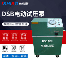 DSB系列电动试压泵 管道锅炉测压泵 电动高压打压泵DSB-4.0