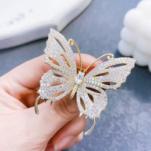 ���n�ʯ��������n��ߙn���x��ͨ�ػ��r���_����Ů���b�ػ��e�