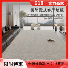 地毯客厅意式极简2025新款防水防污免洗可擦轻奢高级感易打理地毯