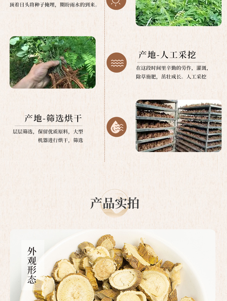 Premium Dried Sophora Root Ku Shen 苦参 Slices 50g Natural Sun Dried Herb for Decoction and External Wash quality and texture