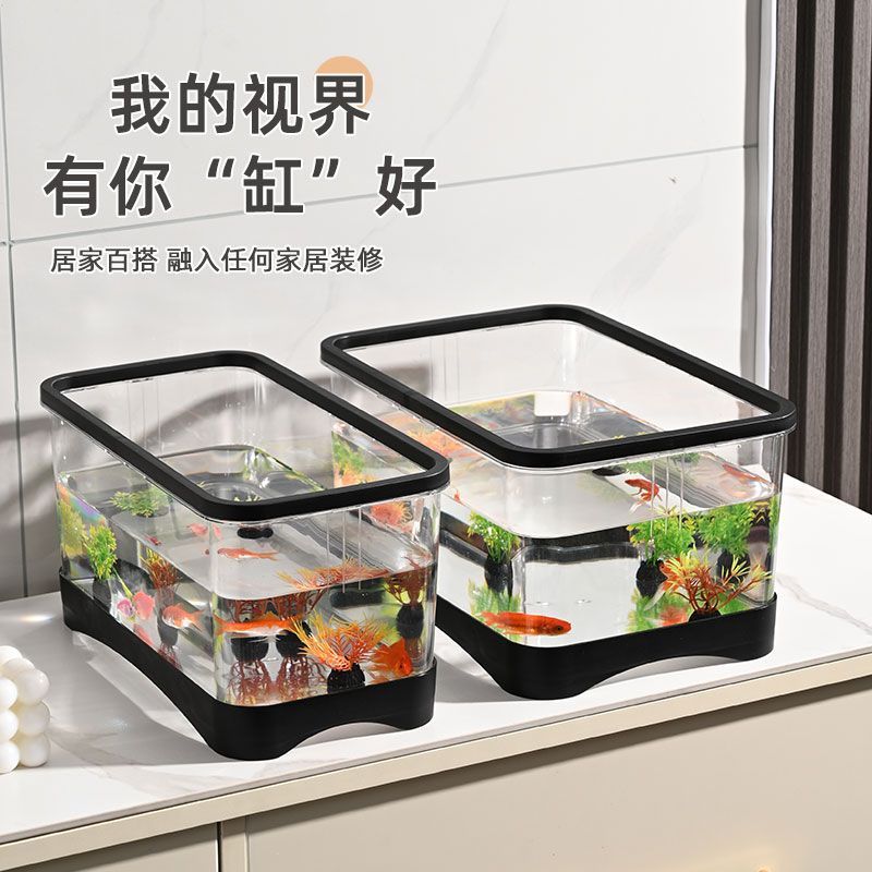 Plastic transparent aquarium for living room for home use