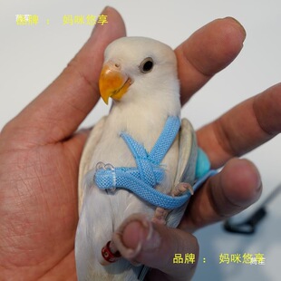 �B���W�^���w�K���P��Ƥĵ�������K�w������������B��Ʒ���