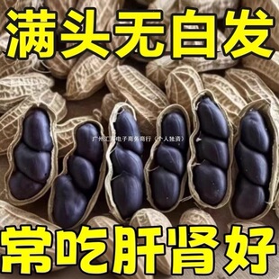 ��ϸ���������Ƥ�ڻ�����Ş�꽡����������Ƣθ�ЋD������ʳ����