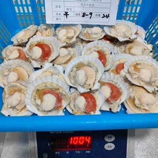 �뚤��ؐ���l��������ԭ�ϼ�����r��ؐ�ɱ������͟���ʳ��