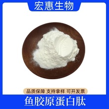 鱼胶原蛋白肽粉 鱼胶原低聚肽粉  低聚肽粉  小分子肽 现货