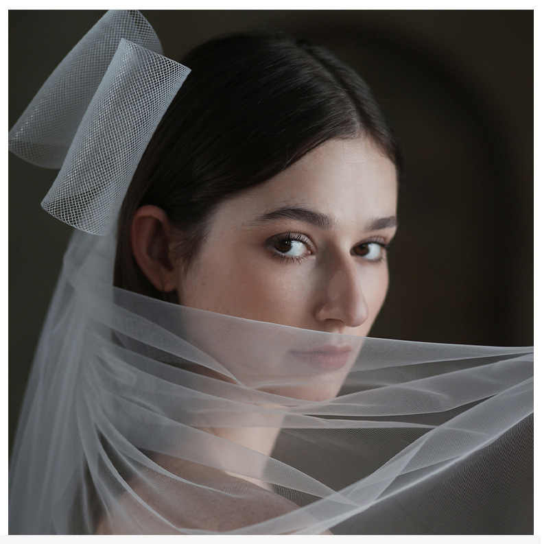 Women's Simple Style Bow Knot Cloth Birdcage Veils display picture 1