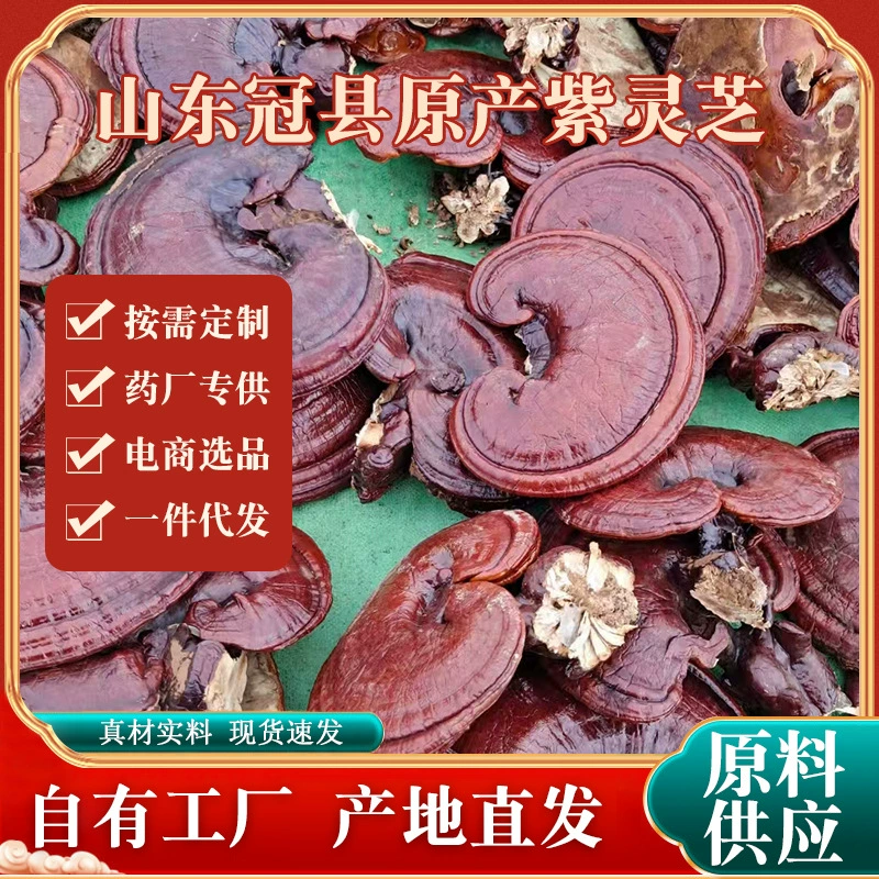 Ultra-fine purple Ganoderma lucidum whole bitter red Ganoderma lucidum extremely fine powder red Ganoderma lucidum diced Ganoderma lucidum slices gift box boiled in water and soup natural