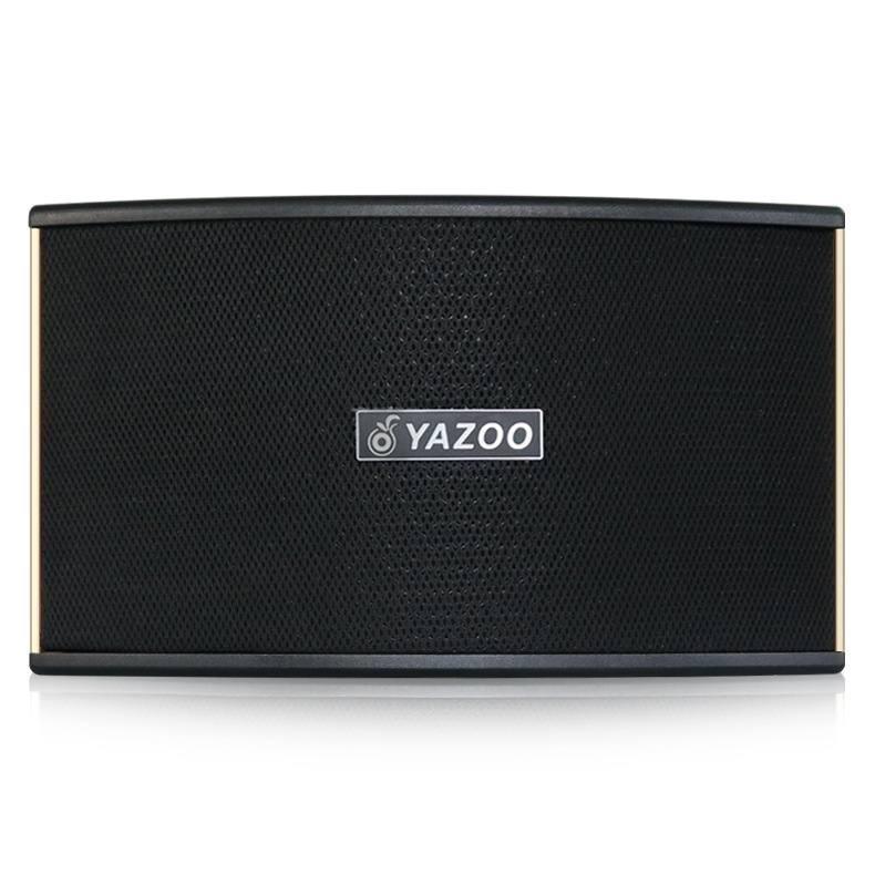 Venta al por mayor personalizado solo 8/10-pulgadas pasivo profesional titular de la tarjeta altavoz al aire libre transmisión en vivo hogar KTV equipo de traje de audio