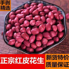 2024年红皮花生米批发新货四粒红花生米农家自产红衣四粒生花生米