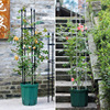 Gardening rose climbing vine shelves Flower rack iron line lotus breeze plant climbing shelf flower pillar flower stent support rod wholesale