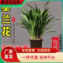 ī�m�m���绨�������҃��̨����Gֲ���߅����ļ��ͺ����B