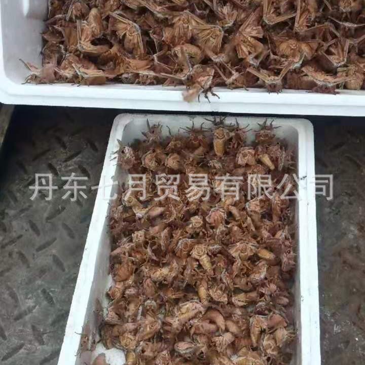 2025-07-25 20:23:37.jpg