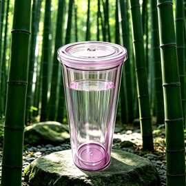 短途出行便携双层塑料吸管杯 450 毫升平盖大孔随身装冰水温水水