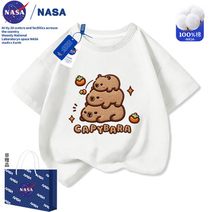 NASA��Ƥ������ͯ�A�I����T���ļ����ރ�ͯ�´̽�ӡ���������³�