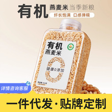 �ЙC������2025��؛����s�Z���ɹŴּZ��������ȫ��ѿ�������w�S