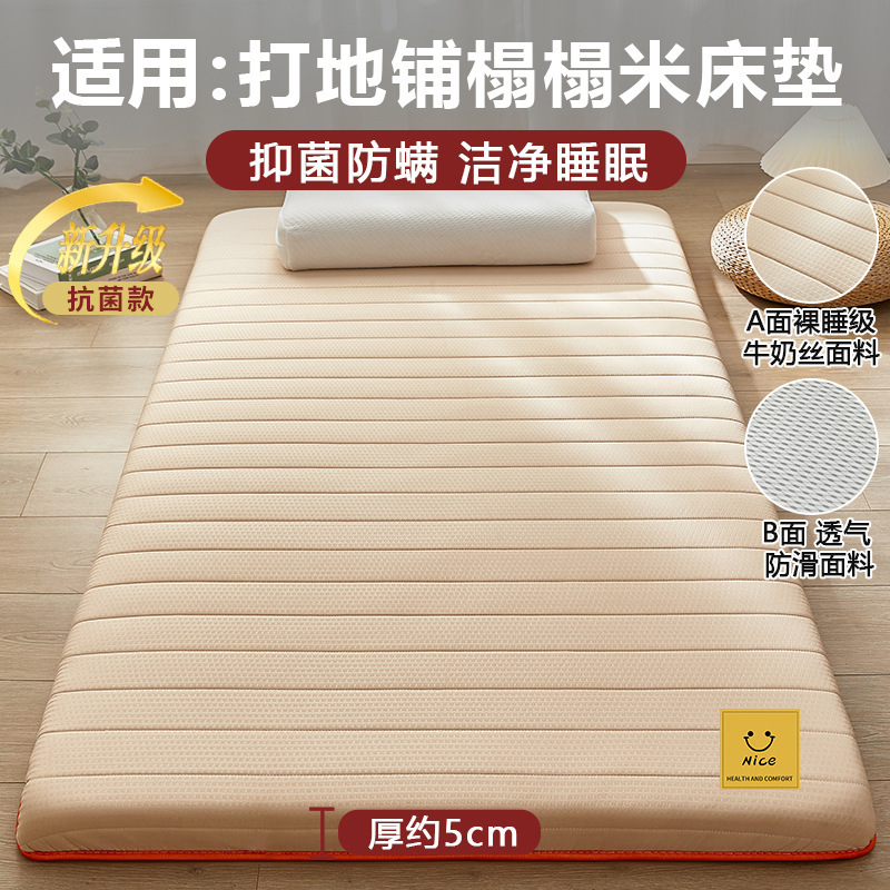 地铺睡垫家用床垫软垫防潮地垫打地铺神器租房专用垫学生宿舍单人|undefined
