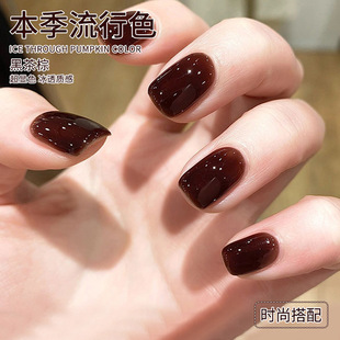 �ڲ���ָ�����z2026���¿��@�ױ�͸��������ɫ�����z���׵ꌣ��