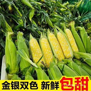 ��Ͻ��yˮ���������r���������װ��Ӱ����׬FժŴ���]�߲�10