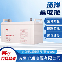 YUASA汤浅蓄电池NP100-12阀控式铅酸免维护12V100AH直流屏UPS电源