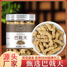 巴戟天中药材段40克批发厂家现货泡酒巴戟干新货泡水泡酒 可代发