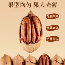 果型均匀果大壳薄饱满大果壳薄肉多奶香四溢开口碧根果