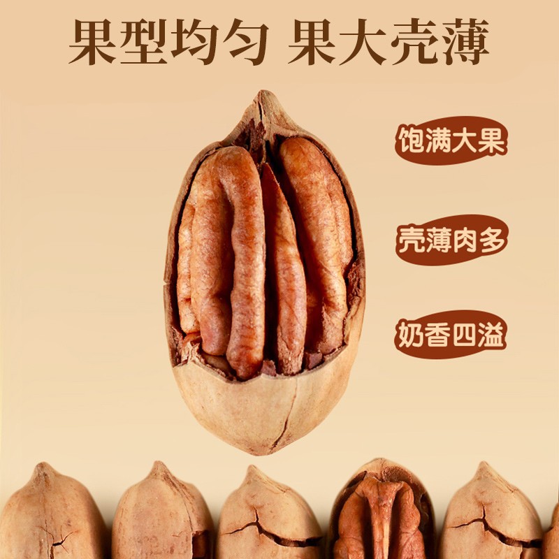 果型均匀果大壳薄饱满大果壳薄肉多奶香四溢开口碧根果