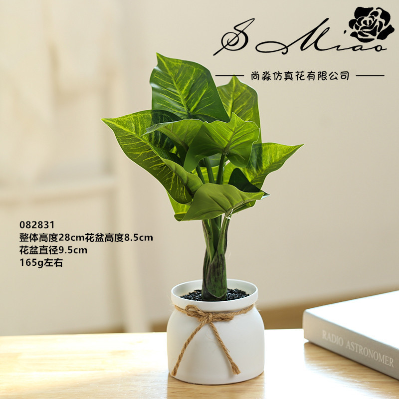 Ciano verde plantado 082831 ☆