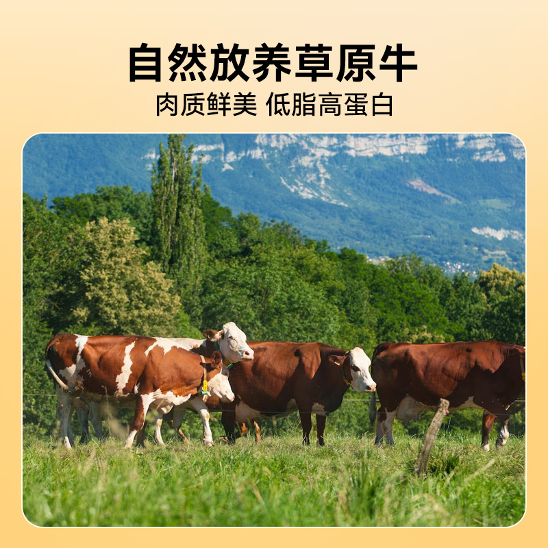 Perro molido dientes para aliviar el hambre, bolsas de carne de res, perros pequeños y medianos, Teddy de pelo dorado, trozos de entrenamiento para perros resistentes a la mordida, bocadillos para perros