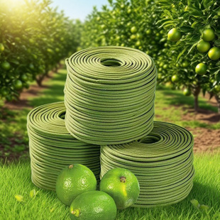 ȻPƤ̴㰬ݹ޹҃ó־