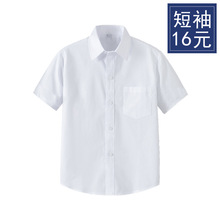 儿童白衬衫短袖男童夏季涤棉白色半袖衬衣薄女中大小学生表演校服