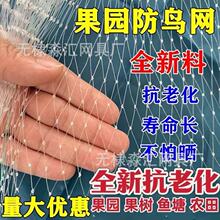 跨境货源果树防鸟网嘉宝果葡萄枇杷樱桃树罩阳台菜园尼龙防护网