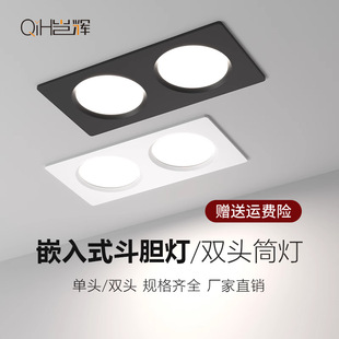 Square double-headed downlight double-hole embedded ultra-thin rectangular living room light aisle porch ceiling led bravery light