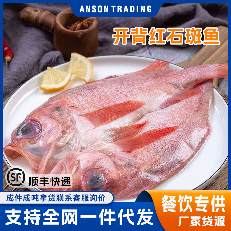 开背红鱼红石斑鱼鲜活冷冻大红鱼去内脏海鲜水产新鲜大眼鱼腌制