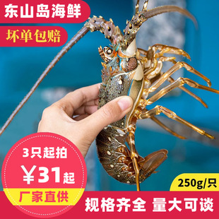 �|ɽ�uС�������rҰ�����r�����r������r�����rС�����r�S��ֱ��