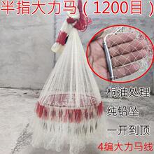 �F朶����W�֒��W�O�W�����R�A�P�w�P�Ԅ��U���y�ֹ��w�P���W��