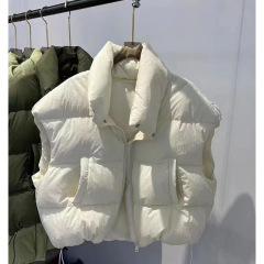 韩系百搭羽绒棉服马甲女冬季新款ins叠穿坎肩立领背心外套上衣