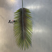 ���͟Ꭷֲ���ѿ��~�ؙ����~�Ž��~�����B�������[�Ż�ˇާ�~ɢβ