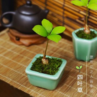 С���Ի������\���~���辰�҃�ī�����F���k���҃������F���_��