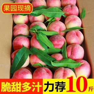 ˮ������������ë�����r�����ЋDˮ��1/5/10������������������l