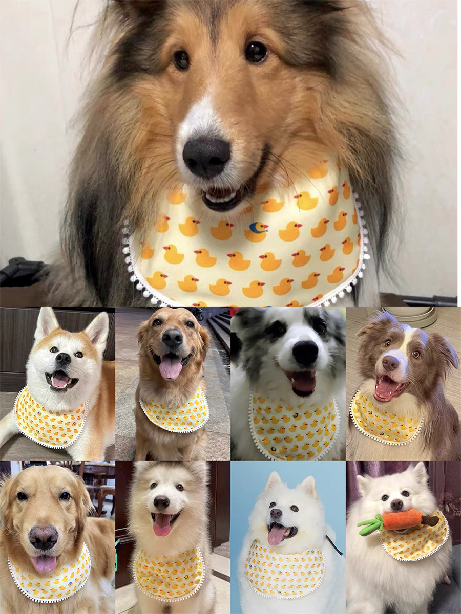 3a10115e-3389-4cc2-9c0f-6bb8a161e878.jpe