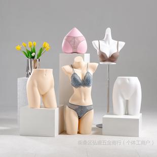����ģ�ص���Ů����������ģ���Ѓ�ѝģ�ؼܼ����w�������չʾ��