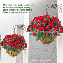 �羳���R�d����Gֲ�P�ɻ����N����ţ�����Ȼ����_�m���@�b[��