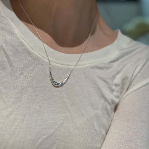 French-style fresh and minimalist U-shaped necklace for women, fashionable niche design, Instagram-style, light luxury, high-end, simple choker chain