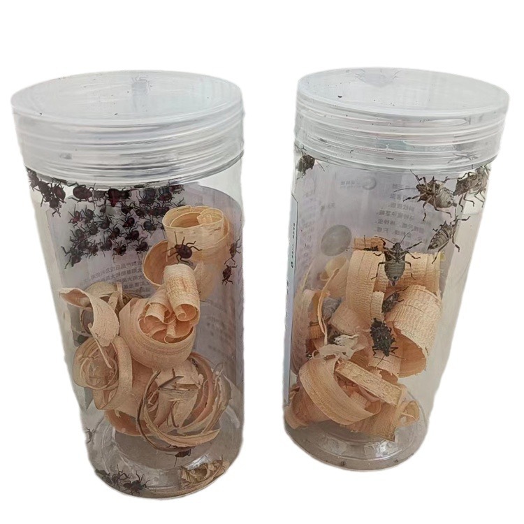 2023-11-28 23:35:31.jpg