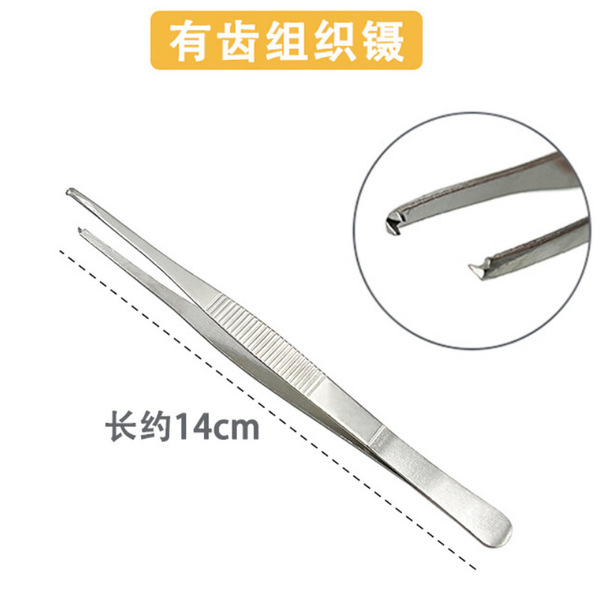 Scalloped tweezers stainless steel