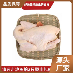 ���h�u�V�|�����uɢ�B���u�ߵ��u���S�u���u���2�������l