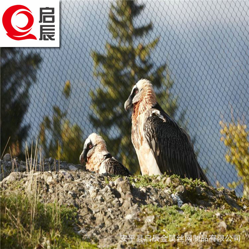 动物园金属围栏网鹦鹉笼舍编织网游乐场防护网编制卡扣绳网