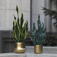 北歐仿真綠植植物虎皮蘭室內外家居軟裝龍舌蘭假花盆栽插花材料