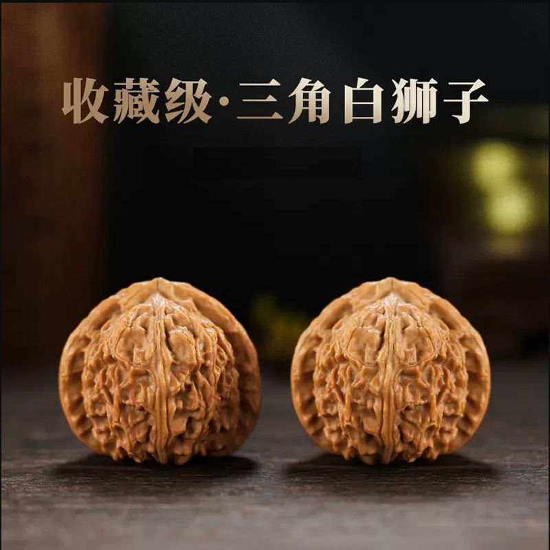 正宗三角白狮子球白文玩核桃 上色极快 骨质皮质级佳经典品种必玩